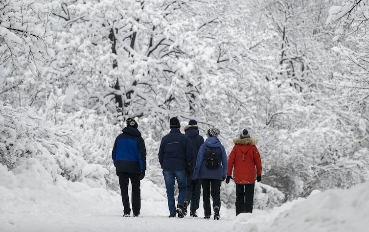 Thick snow covers tree branches as people walk along a street in Ottawa after a snowstorm.